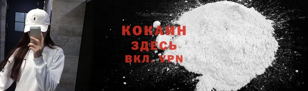 мдпв Верея