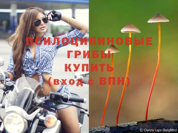 mdma Новокубанск