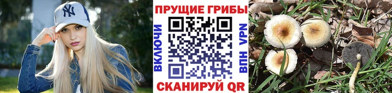 Галлюциногенные грибы мухоморы  Нижняя Салда 